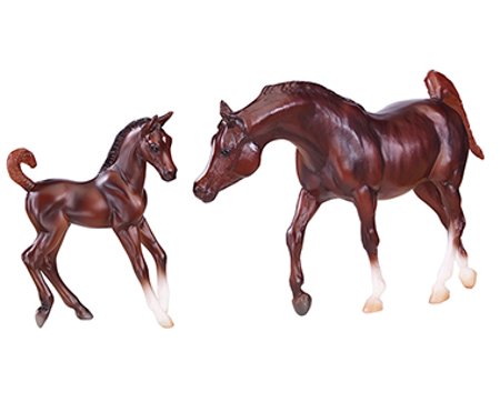 Chestnut Arabian Horse & Foal
