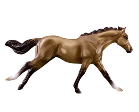 Bella – 2017 Horse of the Year