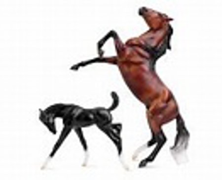 Wild and Free Breyer Classic