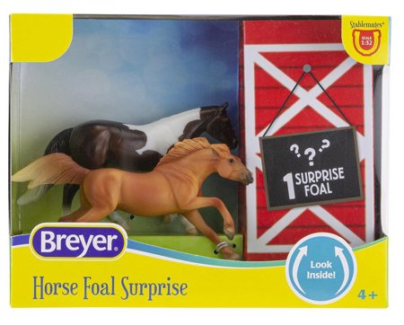 Horse and foal family surprise 15