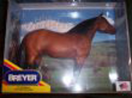 Rimrock The Horse whisperer