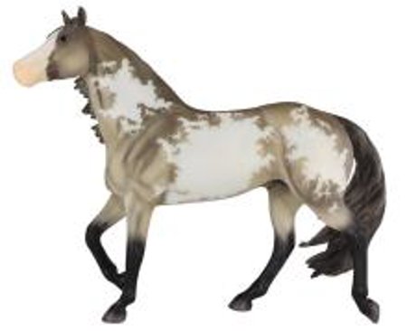 Stock horse 75th Anniversary