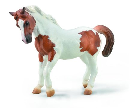 Chincoteague Pony