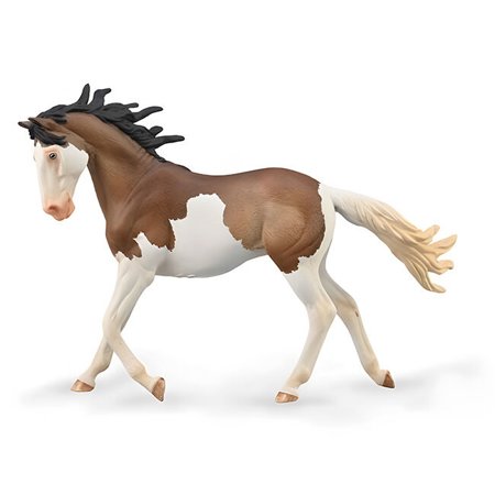 Mustang Mare