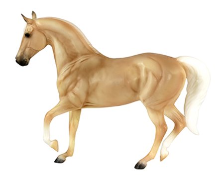 Palomino Morgan