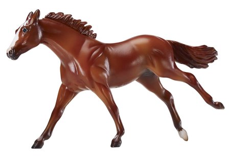 Justify stablemate Thoroughbred