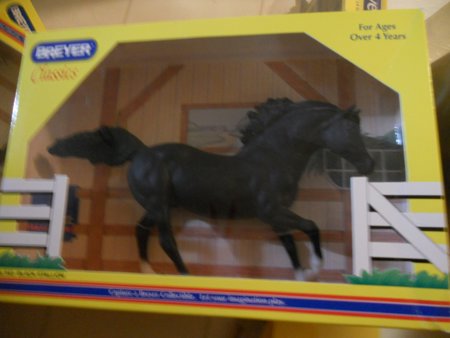 Black Stallion