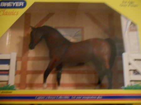 Bay Arabian Classic