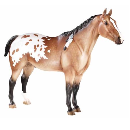 Appaloosa Indian Pony