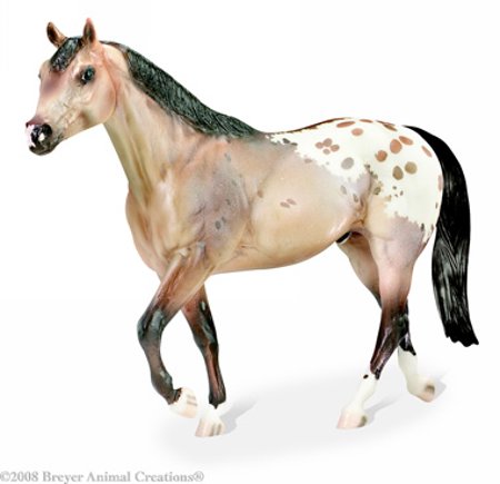 DZ Weedo Appaloosa