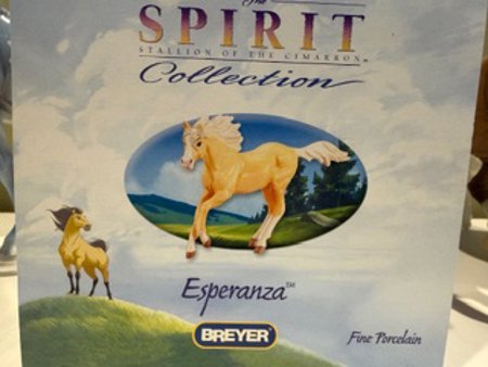 Esperanza Spirit's Mom