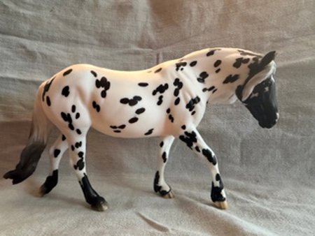Collector Club Leopard Appaloosa Maya