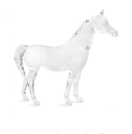 Lorelei Crystal Arabian