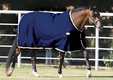Espree Sheet