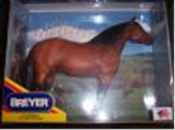 Rimrock The Horse whisperer